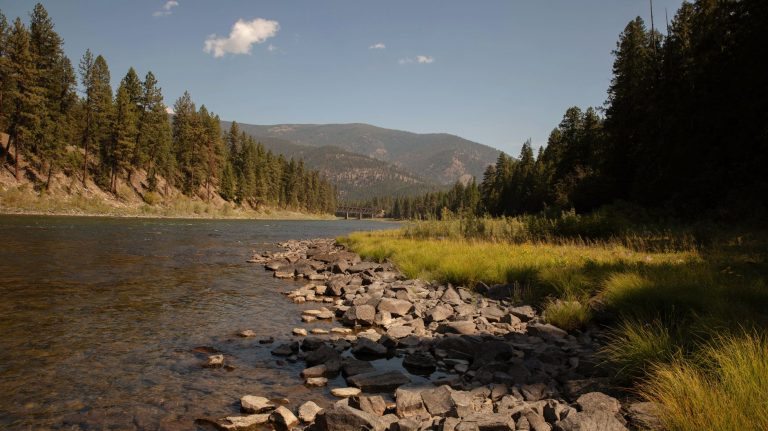 Kalshi Montana lawsuit