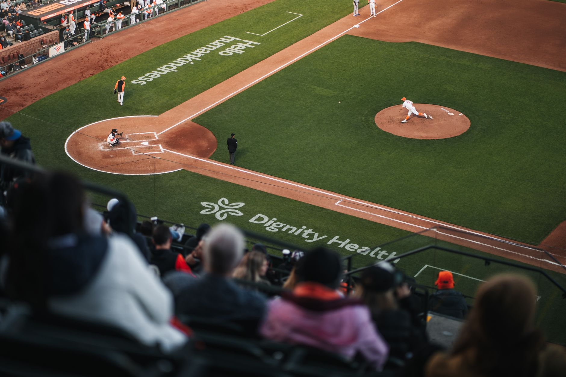 batter-friendly pitches